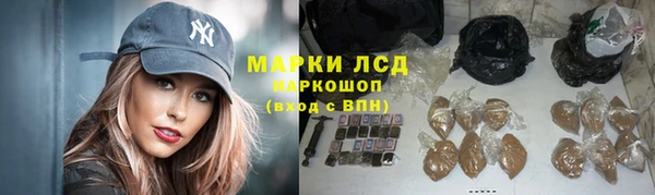 стафф Дмитров