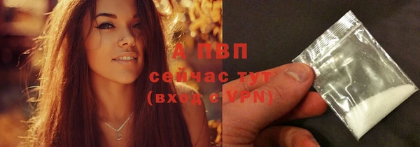 СК Аркадак